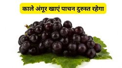 Nutrition alert: 100 ग्राम काले अंगूर में होते हैं इतने पोषक तत्व कि जान के हो जाएंगे हैरान, 5 बड़ी बीमारियों में मिलती है राहत