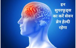 हेल्दी और तेज दिमाग चाहते हैं, इन 5 सुपरफूड्स को आज ही कर लें डाइट में शामिल, कंप्यूटर की तरह काम करेगा ब्रेन