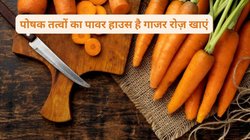 डायबिटीज, कोलेस्ट्रॉल और मोटापा से परेशान हैं? सर्दी में रोजाना 2 गाजर खाइएं, एक्सपर्ट से जानिए कैसे 3 बीमारियों पर लगाम लगाती है ये सब्जी