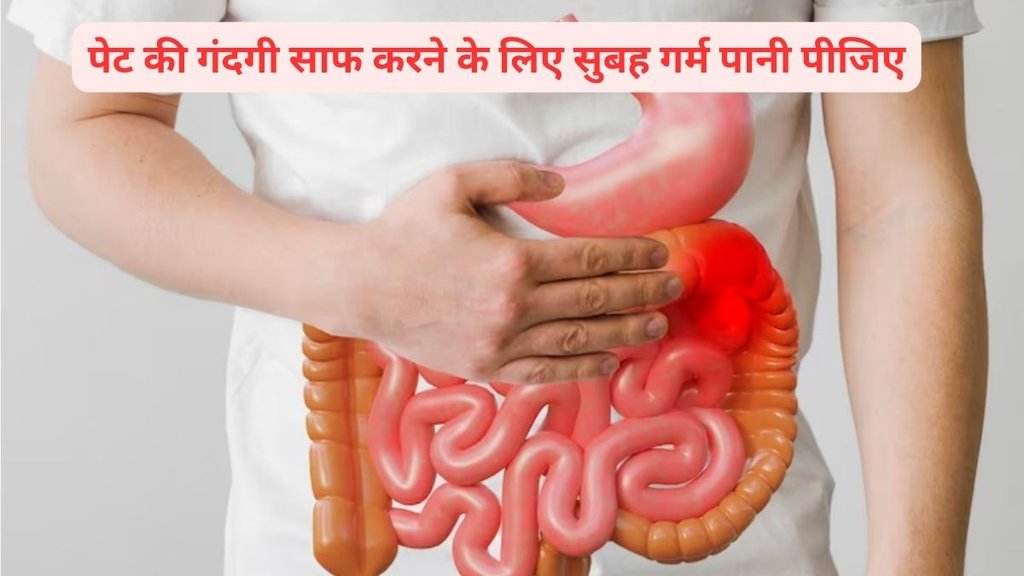 Nityanandam Shree tips for constipation, ayurvedic home remedies of constipation,कब्ज का करें इलाज, कब्ज का घरेलू इलाज, कब्ज दूर करने के उपाय,
