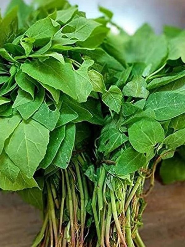 BATHUA SAAG KHANE KE FAYDE