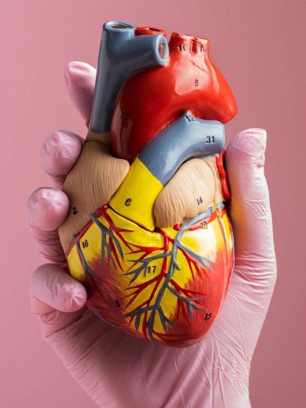 CHOLESTEROL SYMPTOMS