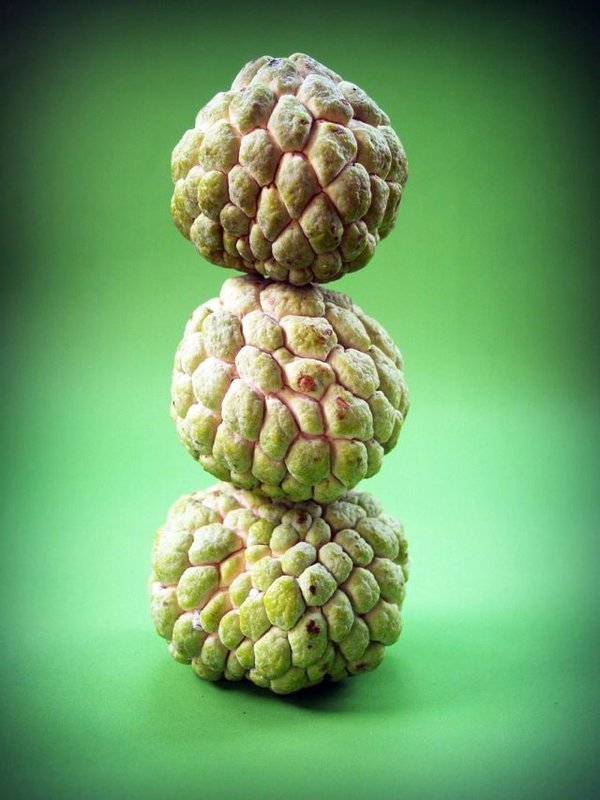 SHARIFA FRUIT - CUSTARD APPLE - GOOD FOR HEALTH