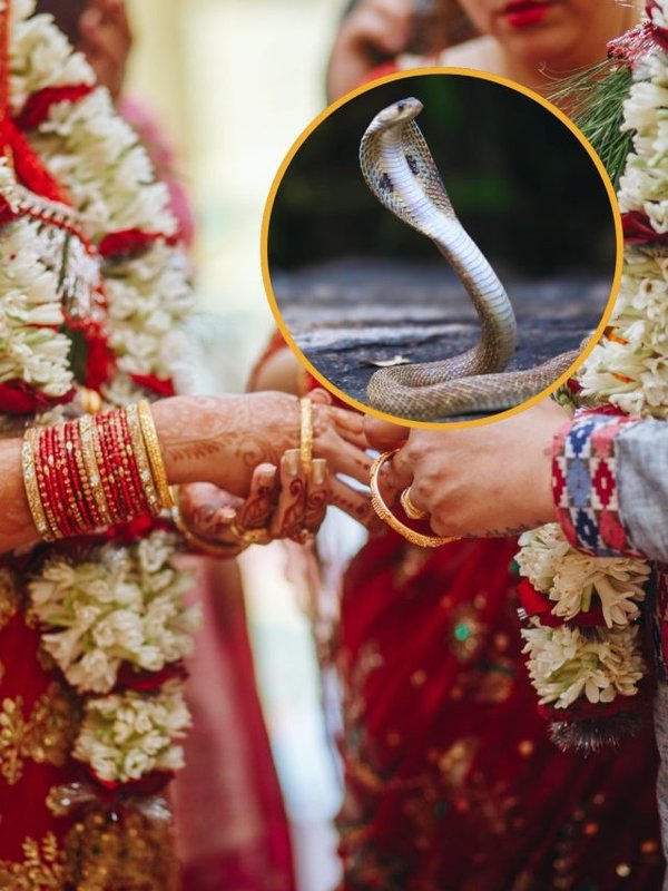 Sanvara snake charmer tribe