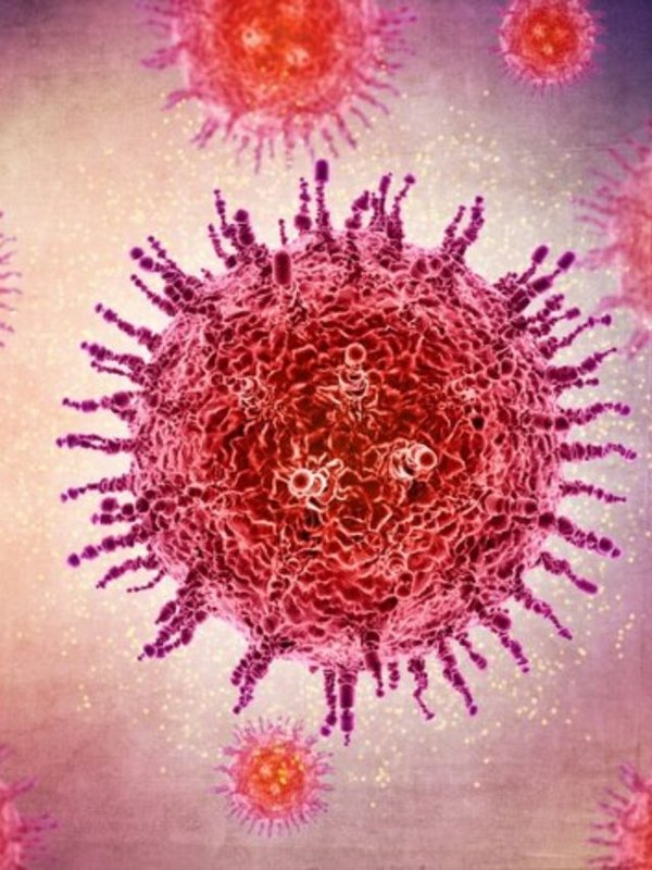 jn.1 variant symptoms, jn.1 variant treatment, news about covid-19 jn.1 variant, precautions of jn.1 variant,What are the symptoms of jn1