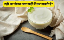 सर्दी में रोज़ाना दही का सेवन क्या सेहत को नुकसान पहुंचा सकता है? क्या विंटर में कर्ड खाने से सर्दी- जुकाम का खतरा बढ़ता है, जानिए सच्चाई