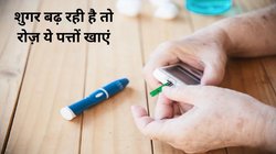 डायबिटीज कंट्रोल करने के लिए सबसे असरदार और प्रभावी दवा हैं ये 4 चीजें, पहले दिन ही 80% दिखेगा असर, ब्लड शुगर स्पाइक का नहीं रहेगा खतरा