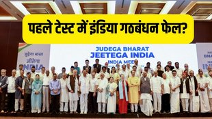 elections result | india alliancs | bjp congress