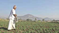 कृषि क्षेत्र में मंदी का सीधा असर पड़ता है किसानों के जीवन पर, जानें कैसे