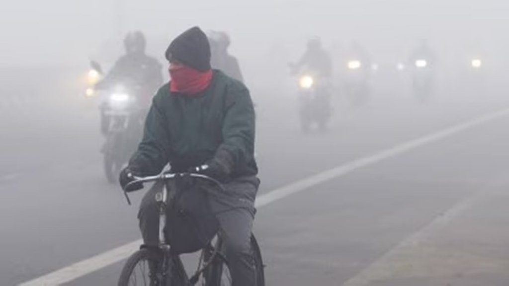 fog| cold wave
