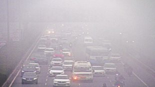 fog| cold wave| delhi NCR