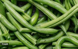 Nutrition alert: 100 ग्राम फ्रेंच बीन्स का सेवन करने से सेहत पर कैसा होता है असर, एक्सपर्ट से जानिए