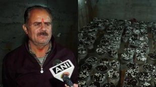 jammu kashmir | udhampur | mushroom |