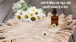 सर्दी में स्किन पर रुखेपन के कारण पड़ रहे हैं रैशेज? चमेली के तेल का यूं करें इस्तेमाल, जानें लगाने का तरीका और अन्य फायदे