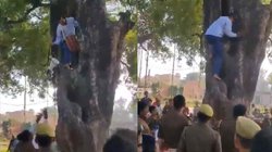 अधिकारियों ने नहीं सुनी फरियाद तो माइक लेकर पेड़ पर चढ़ गए भाजपा नेता; वीडियो हो रहा वायरल