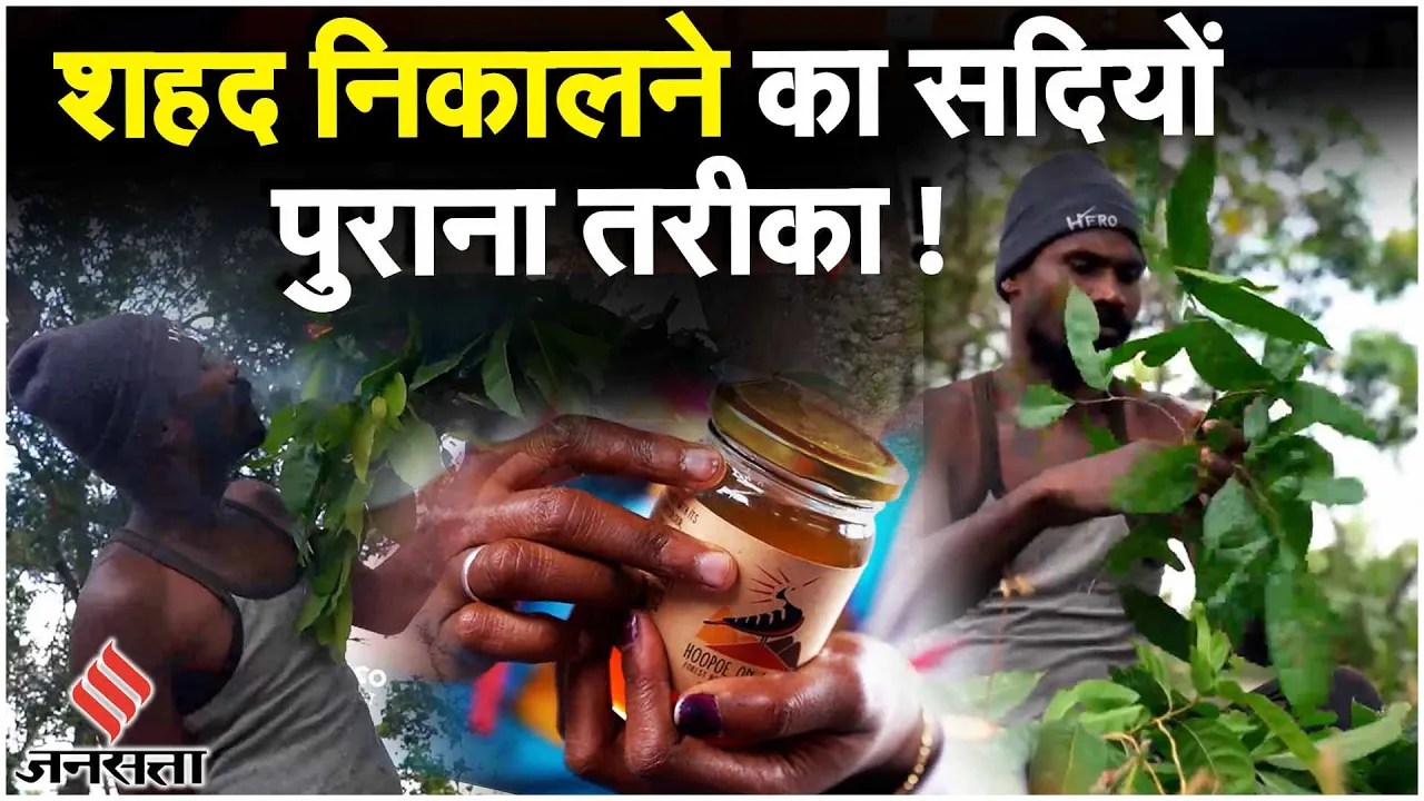 Tamil Nadu Wild Honey Shola Jungle Honey Making Process Documentary Ecofriendly Entrepreneurs