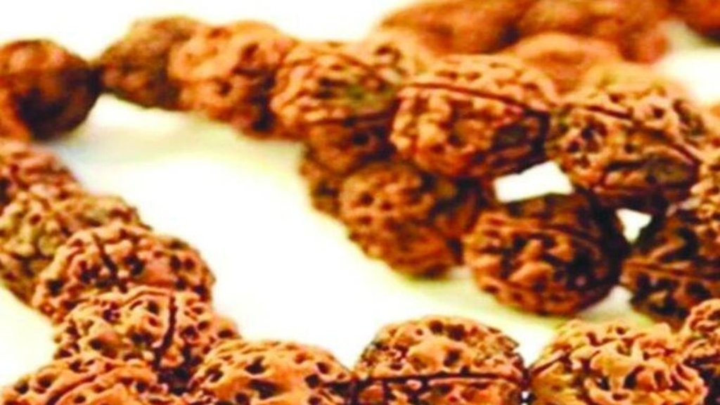 rudraksh ke benefits, rudraksh ke labh