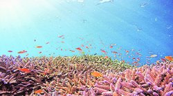 महासागर से जुड़ी अर्थव्यवस्था से रोजगार के क्षेत्र में ऊंची उड़ान, जानिए कैसे