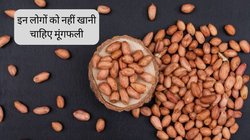 मूंगफली के हैं लाख फायदे पर इन बीमारियों से जूझ रहे लोग न करें इसका सेवन, शरीर के लिए बन सकती है बड़ा खतरा
