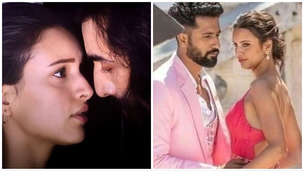 Triptii Dimri, Vicky Kaushal, Ranbir Kapoor