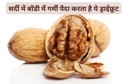 walnut benefits for brain, almonds or walnuts for brain, how many walnuts per day,अखरोट के लाभ, बादाम और अखरोट खाने के फायदे, सुबह खाली पेट अखरोट खाने के फायदे,