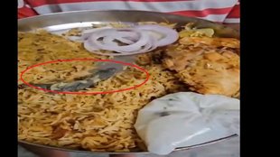 zomato biryani