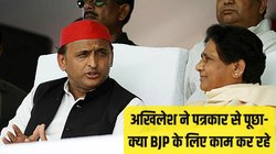 Lok Sabha Elections 2024: मायावती से गठबंधन के सवाल पर झल्लाए अखिलेश? उल्टा पत्रकार से पूछ ली ये बात