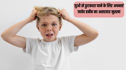 बच्चे के बालों में पड़ गई हैं जुएं? हेयर एक्सपर्ट Jawed Habib ने बताया असरदार नुस्खा, बस दो चीजों के इस्तेमाल से हो जाएगा सफाया