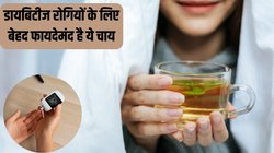 डायबिटीज के मरीज रोज पिएं इस पत्ते से बनी हर्बल चाय, टल जाएगा इंसुलिन स्पाइक का खतरा, जानें कैसे कंट्रोल करती है ब्लड शुगर लेवल