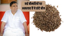 सर्दी में सेहत के लिए वरदान हैं धनिया के बीज, कब्ज से लेकर UTI, पेट दर्द, बुखार हर परेशानी पर करते हैं असर, आचार्य बालकृष्ण से जानें कैसे करें सेवन