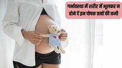 गर्भवती महिलाओं के लिए बेहद जरूरी हैं ये 4 पोषक तत्व, कमी होने पर बच्चे के विकास में आ सकती है रुकावट, एक्सपर्ट से जानें कैसे पहुंचाते हैं फायदा