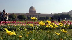 Rashtrapati Amrit Udyan Opening Date: आम लोग कर सकेंगे राष्ट्रपति भवन में एंट्री, इस तारीख से खुल रहा अमृत उद्यान, घर बैठे टिकट बुकिंग