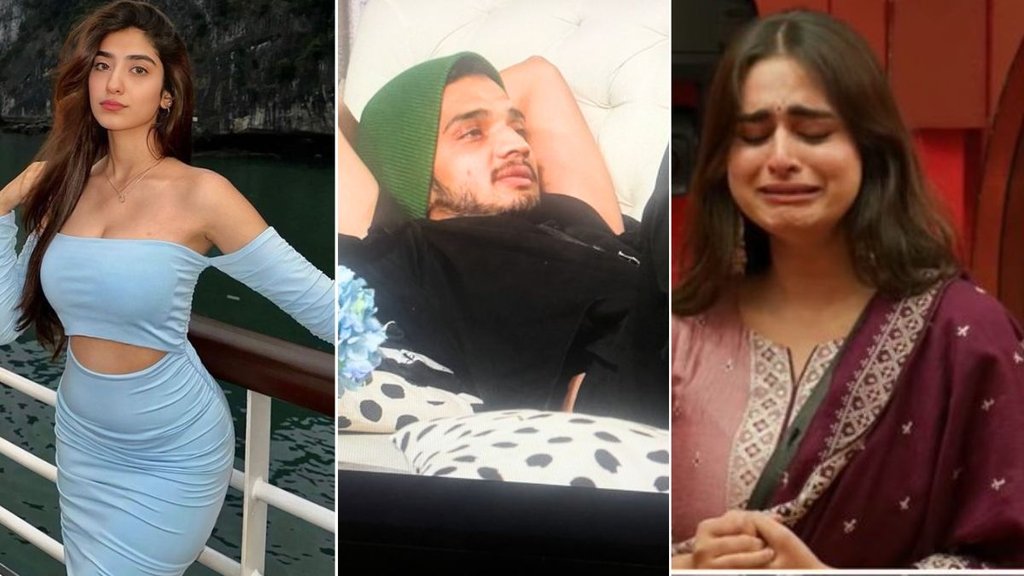 Bigg Boss 17, Bigg Boss 17 Updates, Ayesha khan, Ayesha khan Allegations on Munawar Faruqui