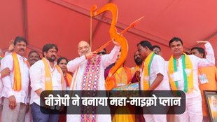 Lok Sabha Elections, BJP, OBC Category