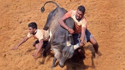 दुनिया मेरे आगे: सभ्य समाज में जीवों के प्रति असंवेदनशीलता घातक