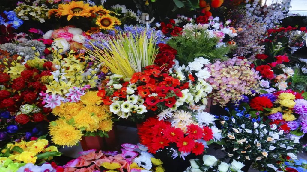 Flower| Ayodhya