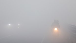 Fog| weather
