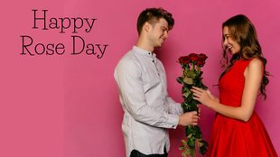 Happy Rose Day 2024 । Valentines week 2024 । Different Rose Meaning