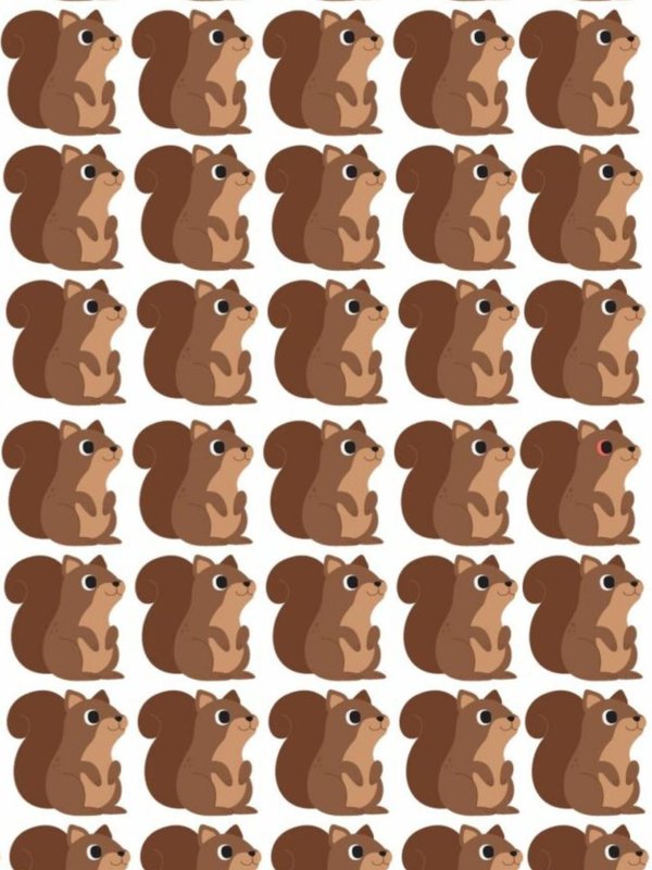 Illusionary pictures deceive the eyes