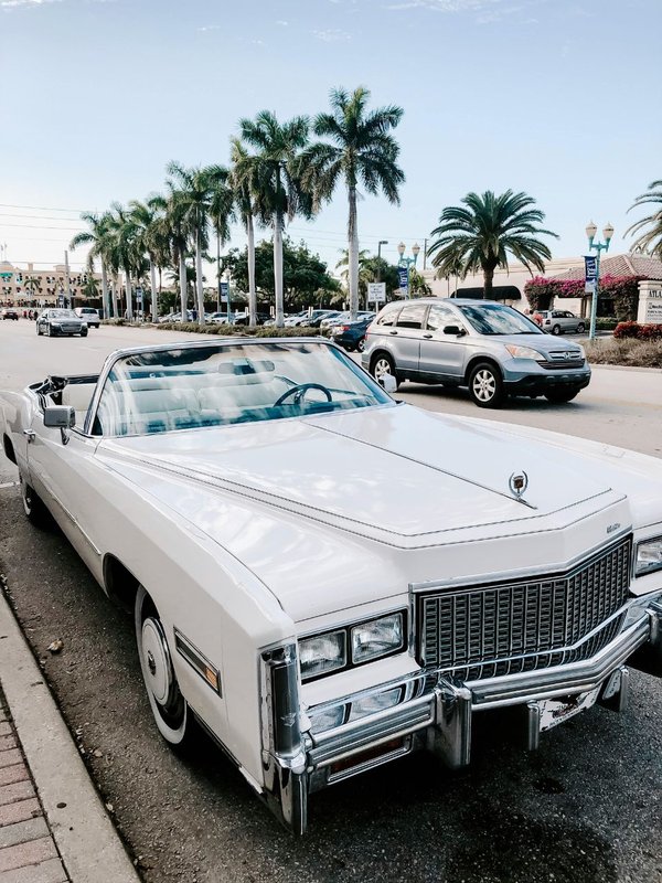 Indian who bought First car in India was Jamsetji Tata