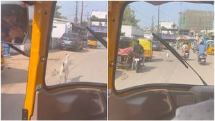James Anderson Auto Ride, IND vs ENG, Hyderabad Test