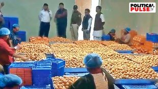 Ayodhya, Ram Mandir, Pran Pratishtha Celebration