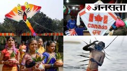 मकर संक्रांति, पोंगल, लोहड़ी… जानिए भारत भर में मनाए जाने वाले इन त्योहारों का क्या है महत्व