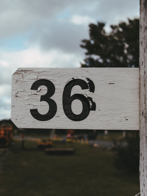 Number 36
