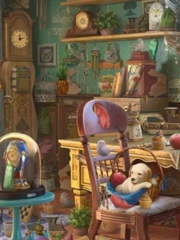 Optical Illusion Photos