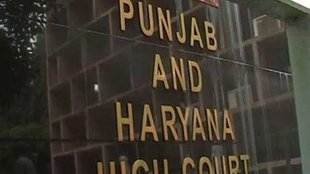 punjab | haryana | high court | Live-in Relationship