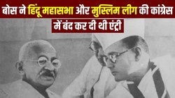महात्मा गांधी को संत नहीं चतुर नेता मानती हैं सुभाष चंद्र बोस की बेटी, अनीता बोस ने बताया था- उनके पिता प्रधानमंत्री होते तो क्या-क्या करते?