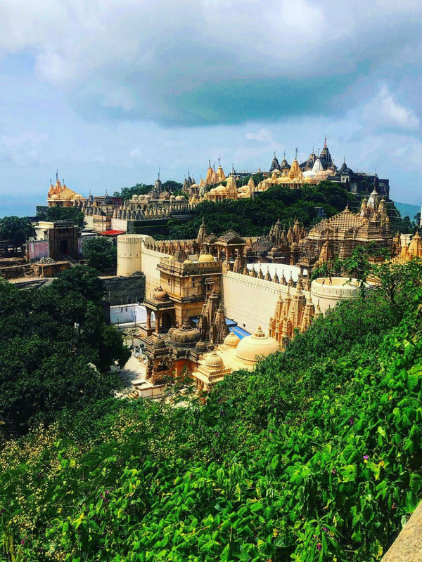 World first vegetarian city is in Gujarat