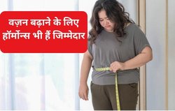 एक्सरसाइज और डाइटिंग के बाद भी नहीं हो रहा वजन कम, मोटापा बढ़ाने वाले 7 हॉर्मोन हैं मुख्य वजह, जानिए कैसे करें इन्हें बैलेंस