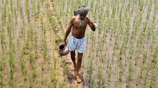 Panchayat Level Weather Forecast | Weather Forecast | kisan